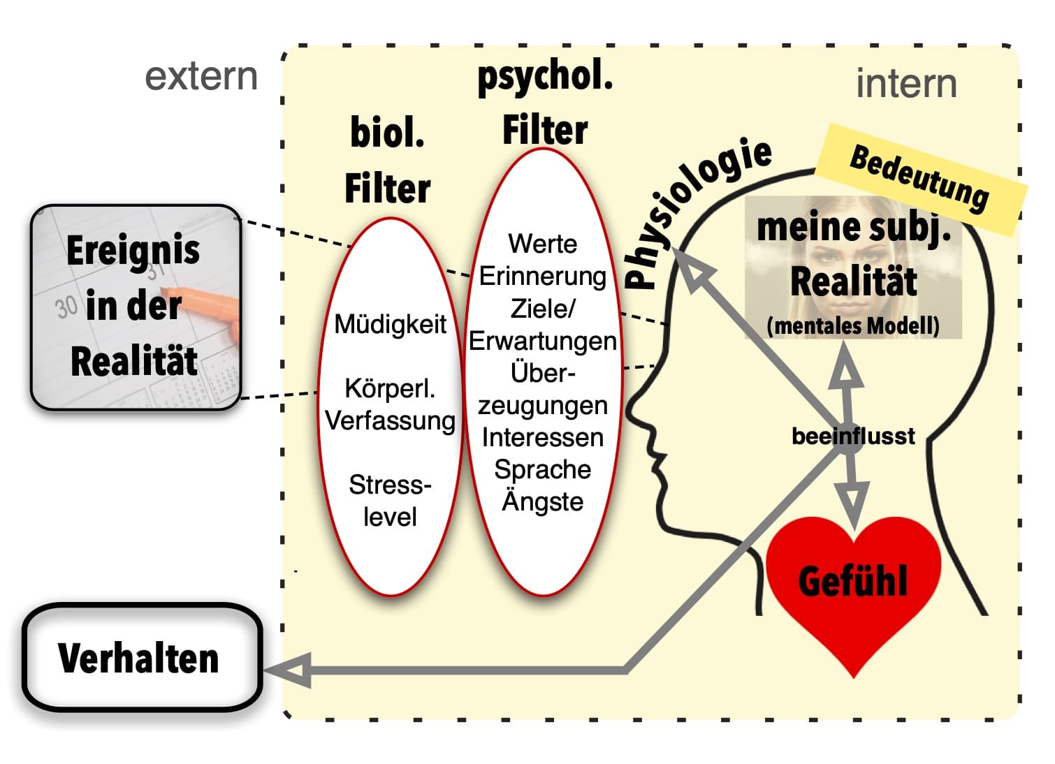 (Illu) Modellierungsmodell.jpg