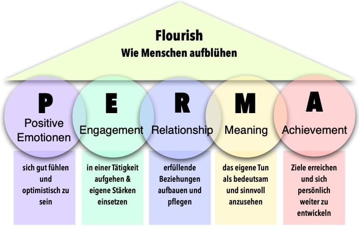 (Infografik)PERMA-Modell.jpg